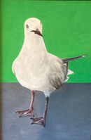 Seagull