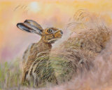"On Alert" pastel painting. Original photograph by Jon Evans an amazing photographer. Kindly used with his permission