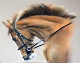 Equine Commission