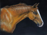 Horse pastel