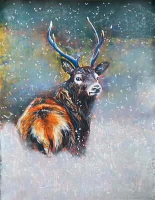Snow Speckled Stag