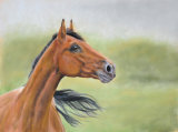 Final Pastel Painting