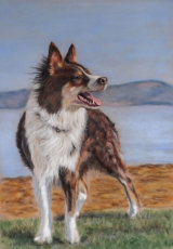 Final Pastel Painting