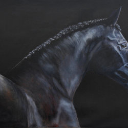 Waiting for Daybreak