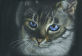 Nightwatch Pastel Painting