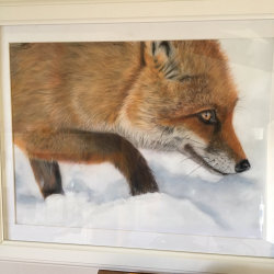 Pastel Fox in the Snow