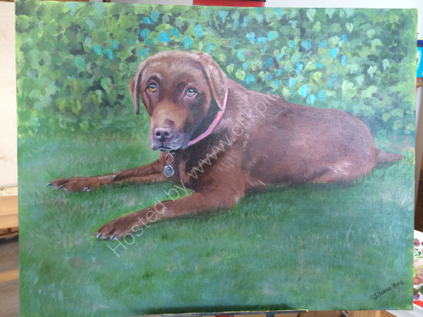 Brown Labrador in Acrylic
