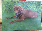 Brown Labrador in Acrylic
