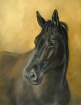 Pastel Portrait
