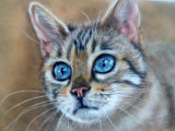 pastel painting Bengal cat