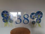 Agapanthus and number close up
