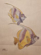 Banner Fish