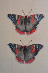 two butterflies