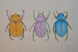 3 beetles