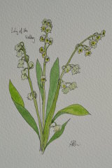 lily of the valley