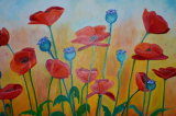 poppy field