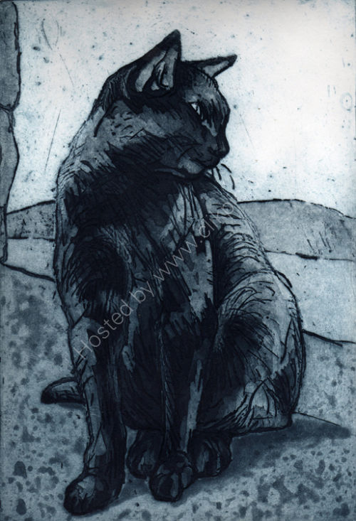 Black Cat Scillys