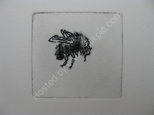 Bee