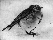 Friendly Robin