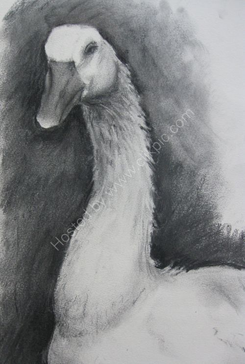 Goose