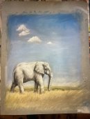 White Elephant, Etosha Park, Namibia