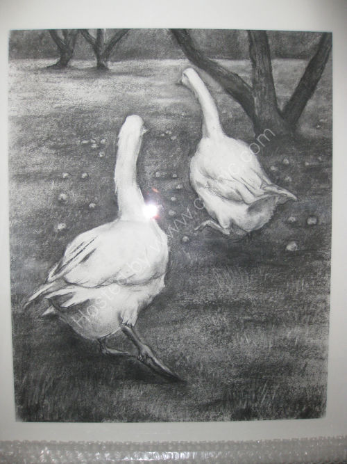 In the orchard