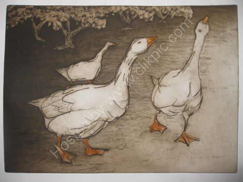 Orchard Gaggle
