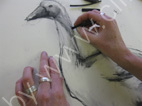 charcoal drawing