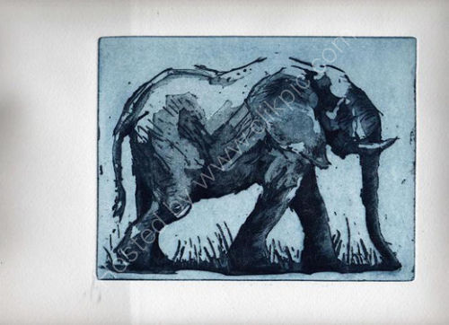 Elephant