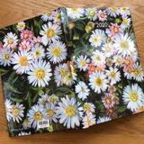 2020 A5 Hardback Diary