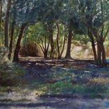 Enchanted Forest