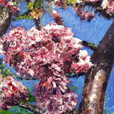 Garden Blossom An original painting of blossom on a tree by artist Andrea Hook