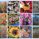 All 12 Wildflower & Coastal cards