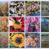 All 12 Wildflower & Coastal cards