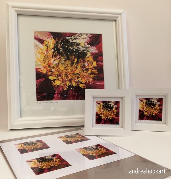 Buff tailed Bumble bee framed prints in two sizes by Dorset Artist Andrea Hook