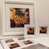 Buff-tailed Bumblebee prints Buff tailed Bumble bee framed prints in two sizes by Dorset Artist Andrea Hook