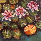 Waterlilies An impasto original painting of waterlilies in a pond at Compton Acres Dorset