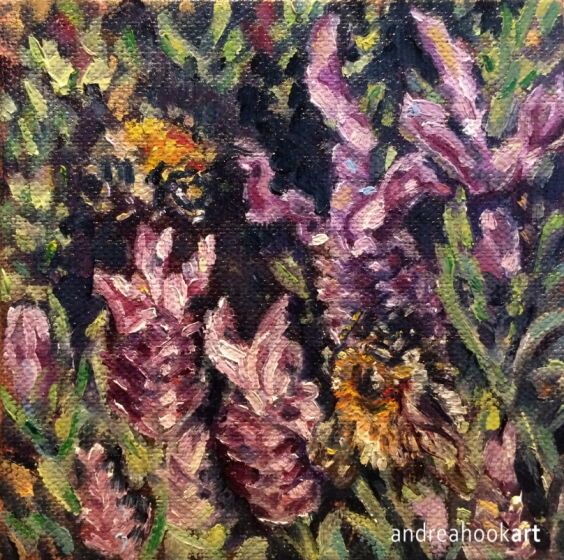 Carder Bumblebees