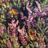 Carder Bumblebees