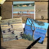 Set of 3 Coastal Blank Greeting Cards