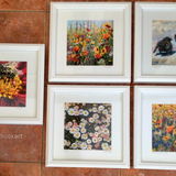 All five medium sized framed prints