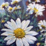 Daisy