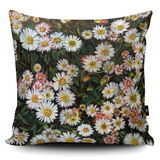 Daisy Cushion Daisy Cushion with card and framed print