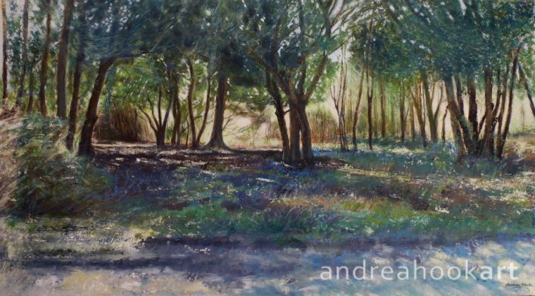 An original painting of a sunlit wood with dappled light by Dorset artist Andrea Hook