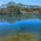 Eyeworth Pond, New Forest