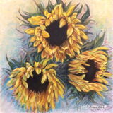 A Trio of Sunflowers