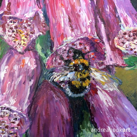 A Bumblebee on a pink foxglove