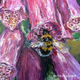 Foxglove Bumblebee