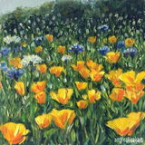 Wildflowers (mini): £85