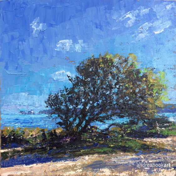 Old Harry from Studland Beach